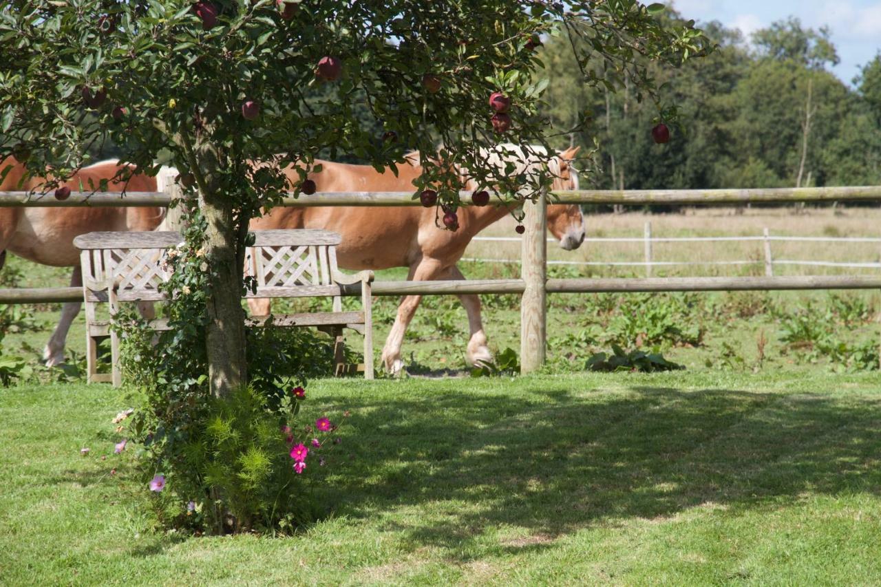 Le Manoir Du Pont Senot Bed & Breakfast Noron-la-Poterie ภายนอก รูปภาพ